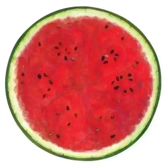 Watermelon Placemats & Placecards (12) - Picture 4 of 5